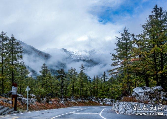 金牛座是一个理想主义者星座吗?他们会特别看重爱情吗?-解答疑问,分享知识